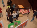 Comenius program, 2011. aprilis, Bolyai-gimnazium, foto Kovacs Istvan (12)