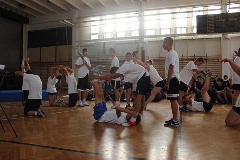 gólyanap 119.JPG
