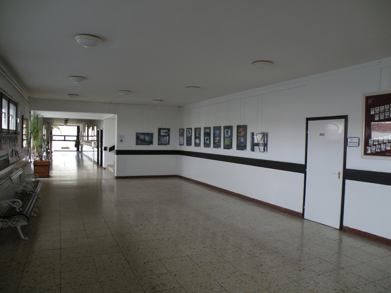 P2072887.JPG