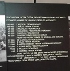 39. Auschwitz I.